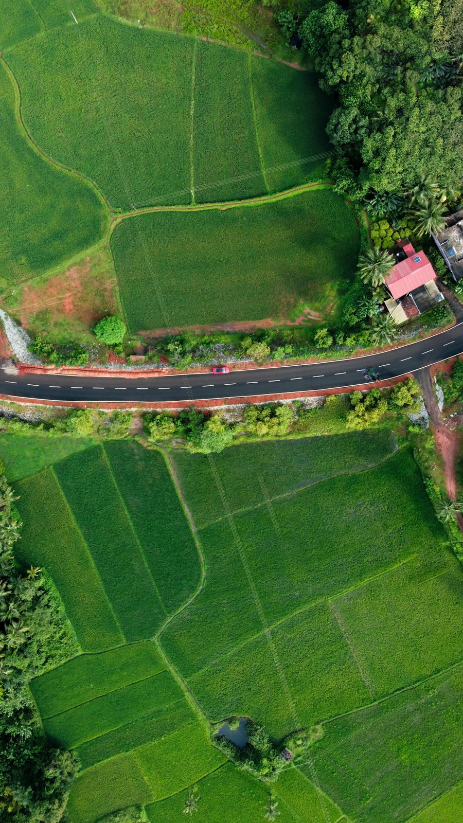Aerial view of green land parcels